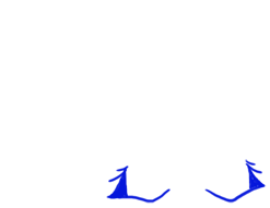 Adoptuj Chomik Niebieska ara
