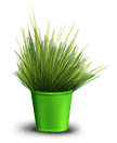 Zielona roślina