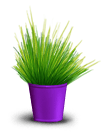 Zielona roślina