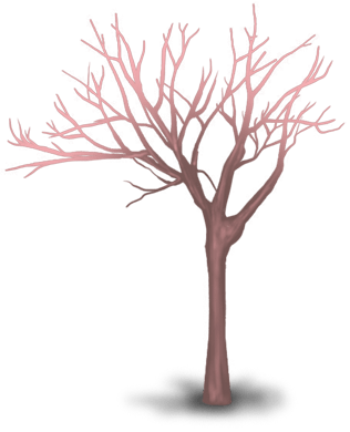 Drzewo renifera