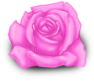 Duże Walentynki Rose