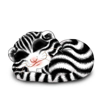 Adoptuj Fretka Zebra
