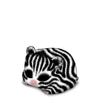 Adoptuj Chomik Zebra