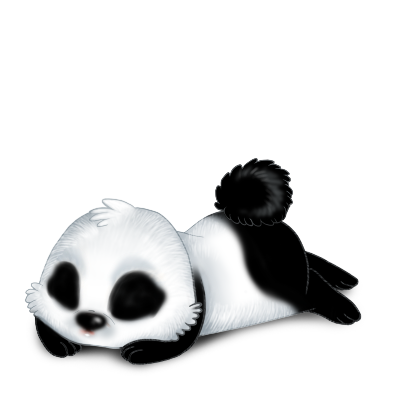 Adoptuj Królik Panda