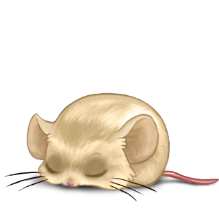 Adoptuj Mysz Beżowy Brązowy