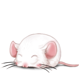 Adoptuj Mysz Krem