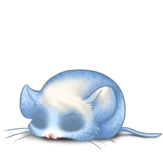 Adoptuj Mysz Kawiarnia