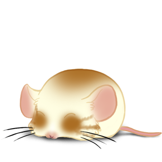Adoptuj Mysz Blondy