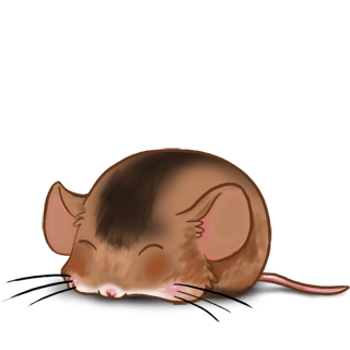 Adoptuj Mysz Karmel