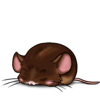 Adoptuj Mysz Czekolada