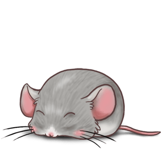 Adoptuj Mysz Srebrny