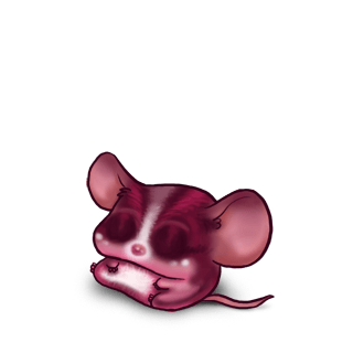 Adoptuj Mysz Wenecja