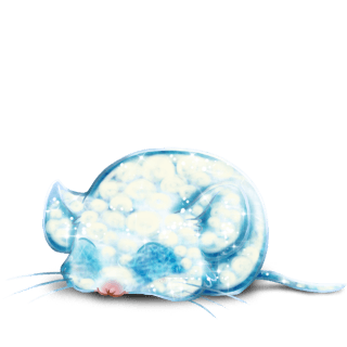 Adoptuj Mysz Lód