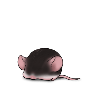 Adoptuj Mysz Czarny