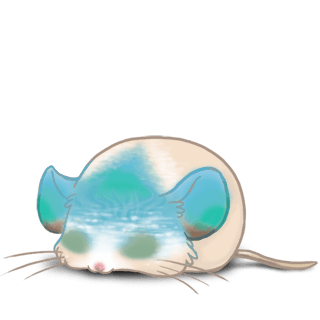Adoptuj Mysz Skala