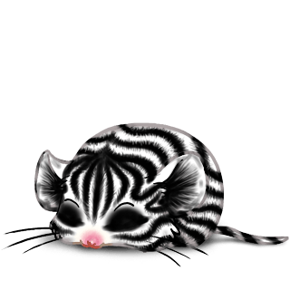 Adoptuj Mysz Zebra