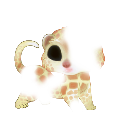 Adoptuj Fretka żyrafa