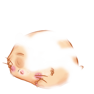 Adoptuj Chomik Bald-Hamster
