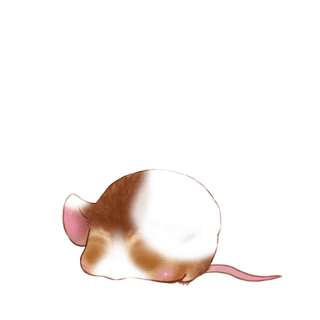 Adoptuj Mysz Złoty beż