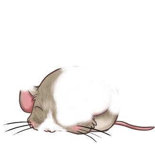 Adoptuj Mysz Szary