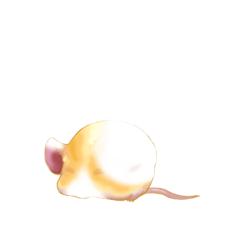 Adoptuj Mysz Krem