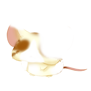Adoptuj Mysz Szmaragd