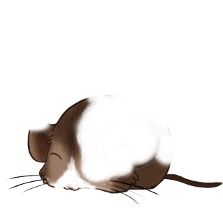 Adoptuj Mysz Brązowe paski