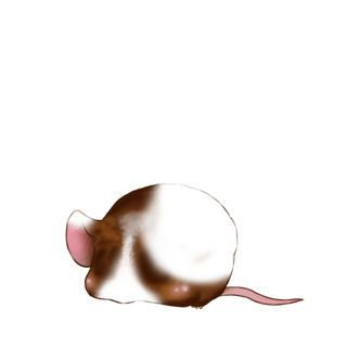 Adoptuj Mysz Czekolada mleczna