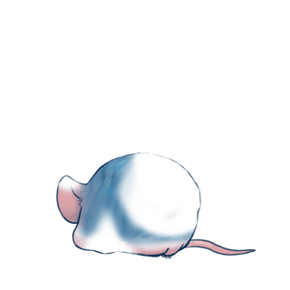Adoptuj Mysz Skala