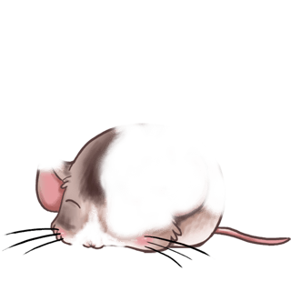 Adoptuj Mysz Biały