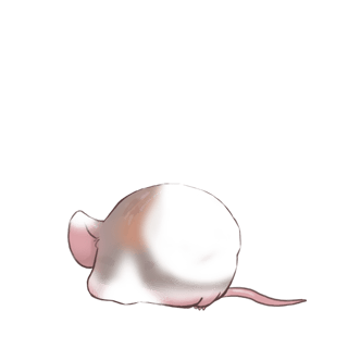 Adoptuj Mysz Dziwna mysz