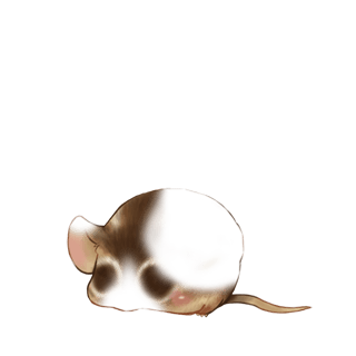 Adoptuj Mysz Chybienie