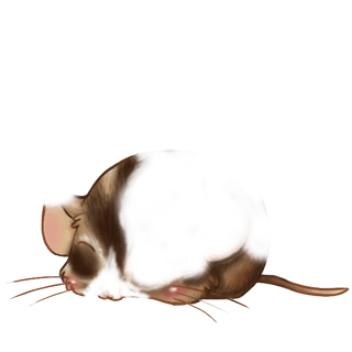 Adoptuj Mysz Klasyczna morela