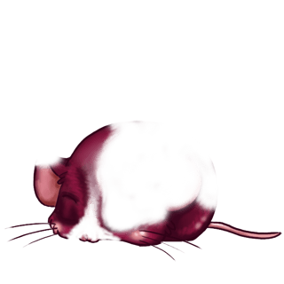 Adoptuj Mysz Beżowy