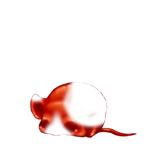 Adoptuj Mysz Pikantny