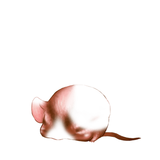 Adoptuj Mysz Czarno-biały