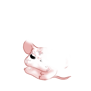 Adoptuj Mysz CroMimiNine