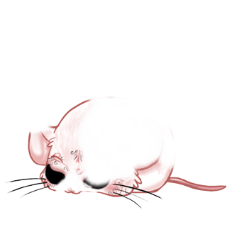 Adoptuj Mysz Czarny